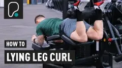 Lying hamstring curl machine